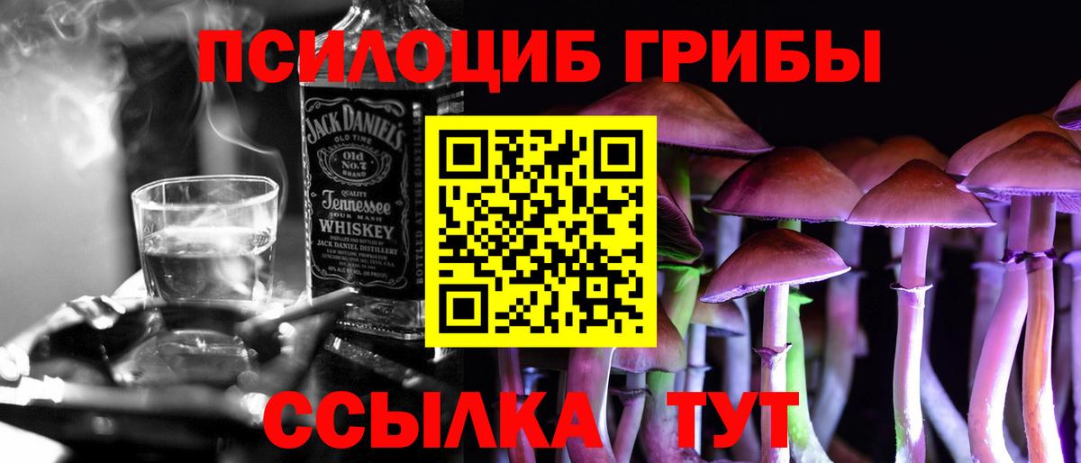 Псилоцибиновые грибы MAGIC MUSHROOMS Знаменск