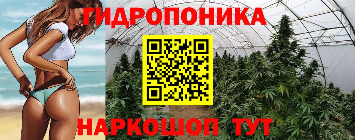 Марихуана SATIVA & INDICA Знаменск